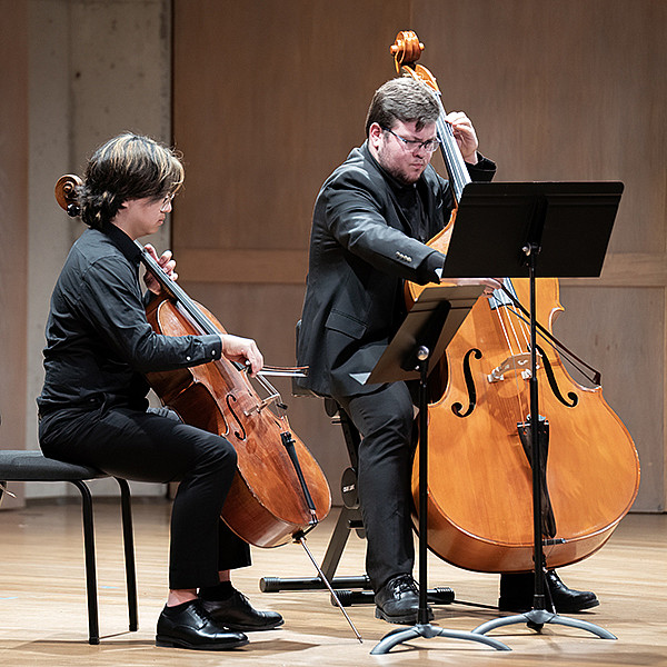 String Chamber Music Concert concert image
